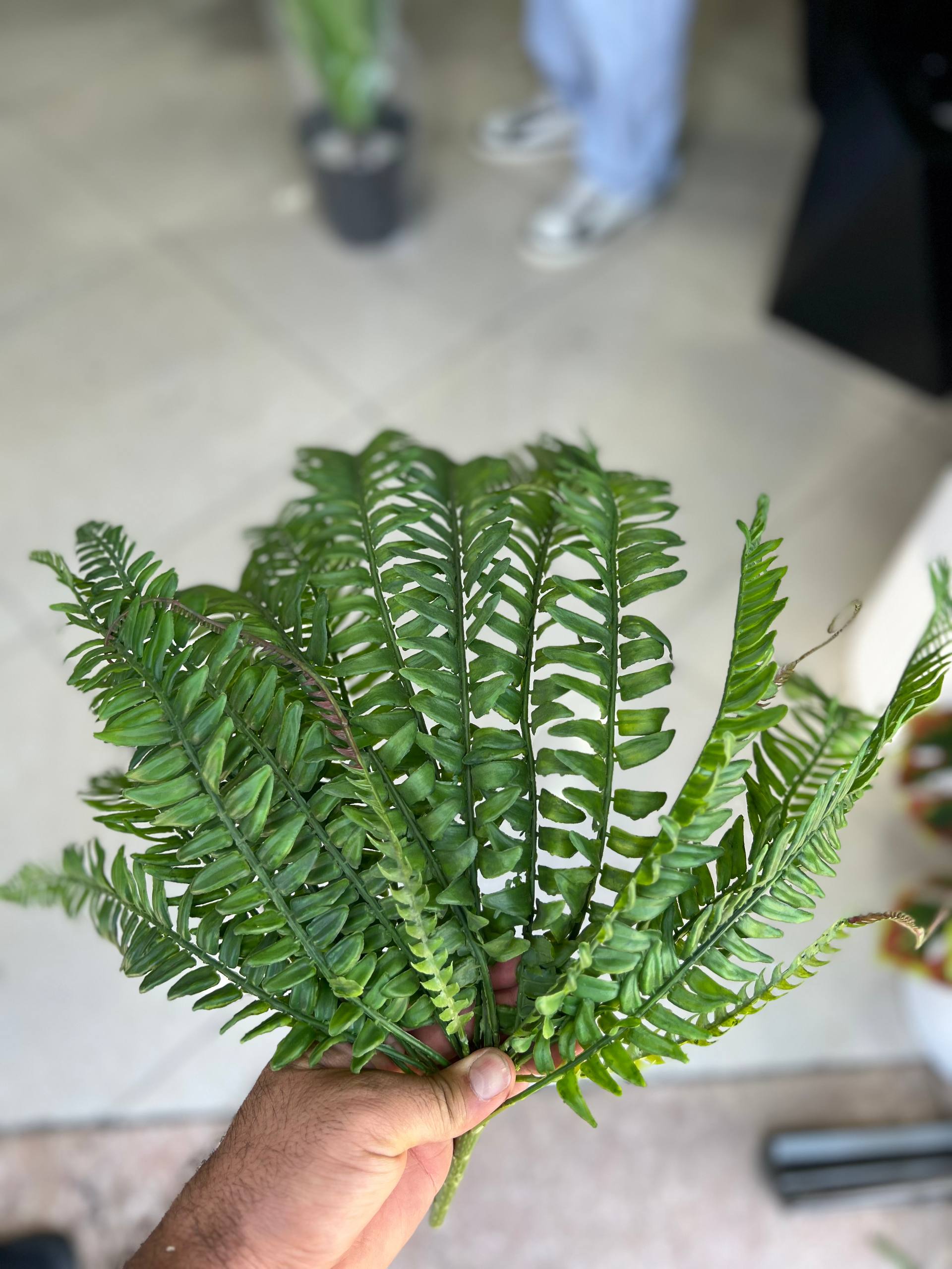 بوته سرخس لمسی وارداتی ۱۸بازو رنگ سبز پررنگ