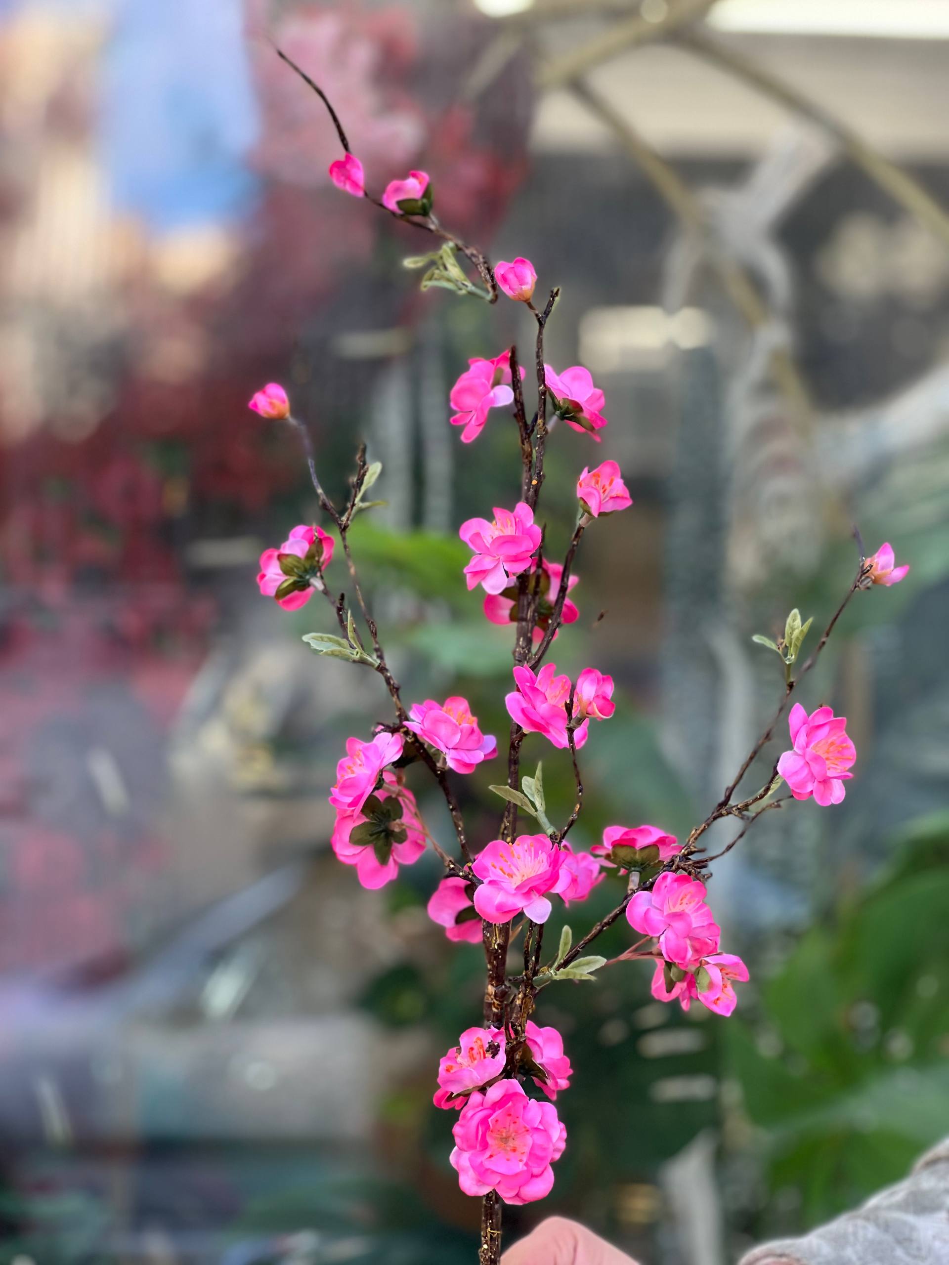 شاخه شکوفه ژاپنی وارداتی رنگ سرخابی