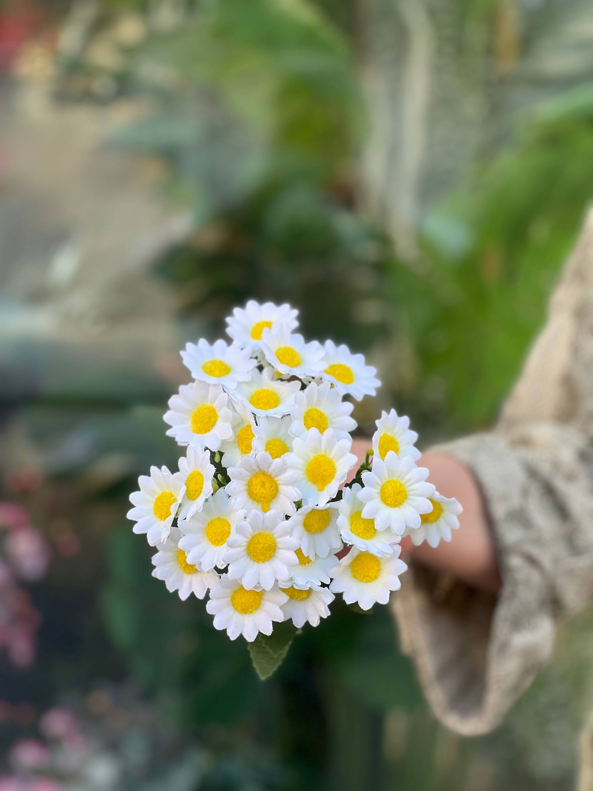 بوته بابونه مصنوعی وارداتی سفید