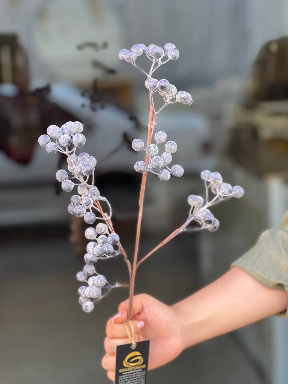 شاخه میوه بلوبری وارداتی