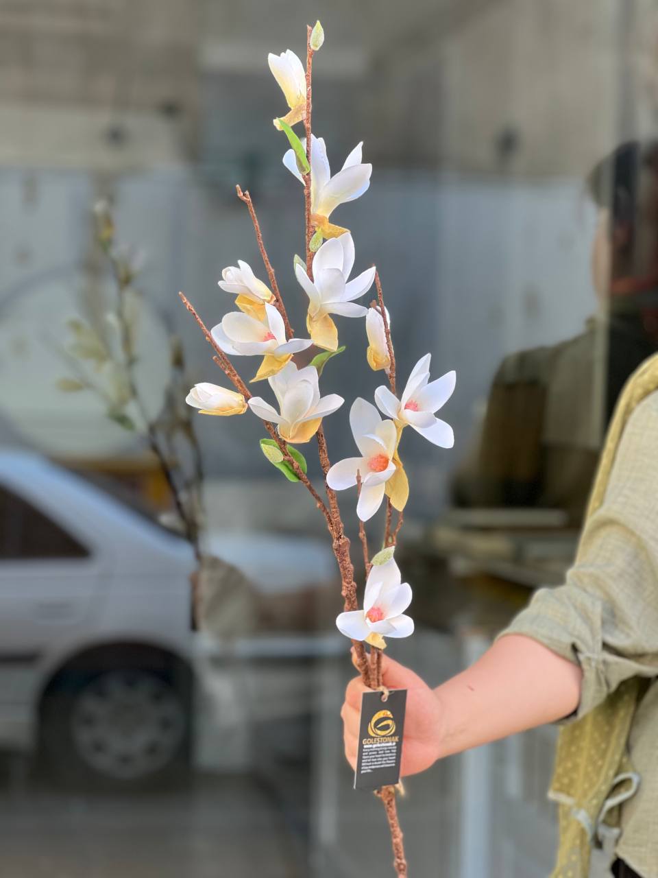شاخه مگنولیا وارداتی درجه۱ رنگ سفید