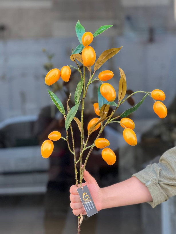 شاخه انبه مصنوعی وارداتی کیفت درجه۱