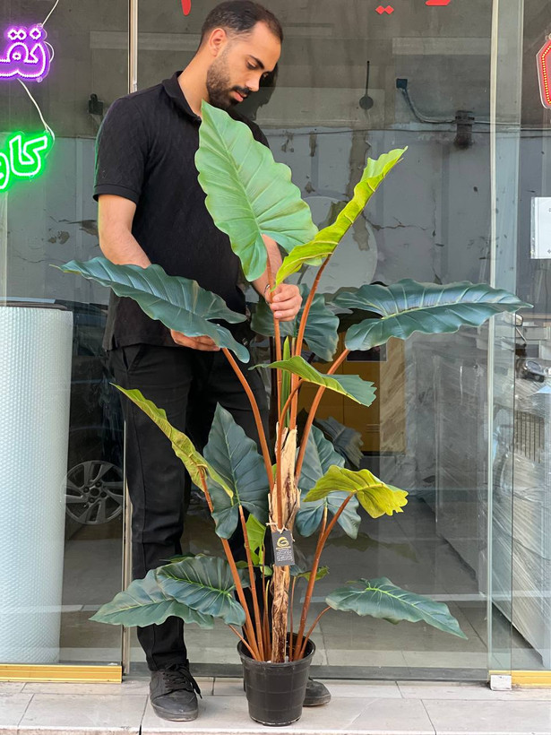 درختچه مصنوعی بابا ادم وارداتی تنه قرمز دورنگ
