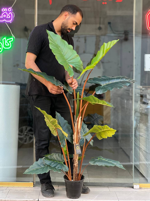 درختچه مصنوعی بابا ادم وارداتی تنه قرمز دورنگ
