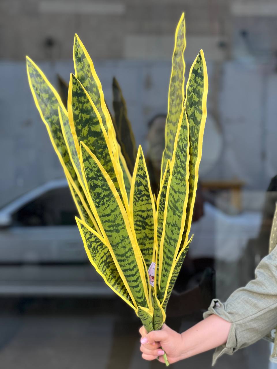 سانسوریا مصنوعی ابلق وارداتی ۵شاخه ۸۰سانتی