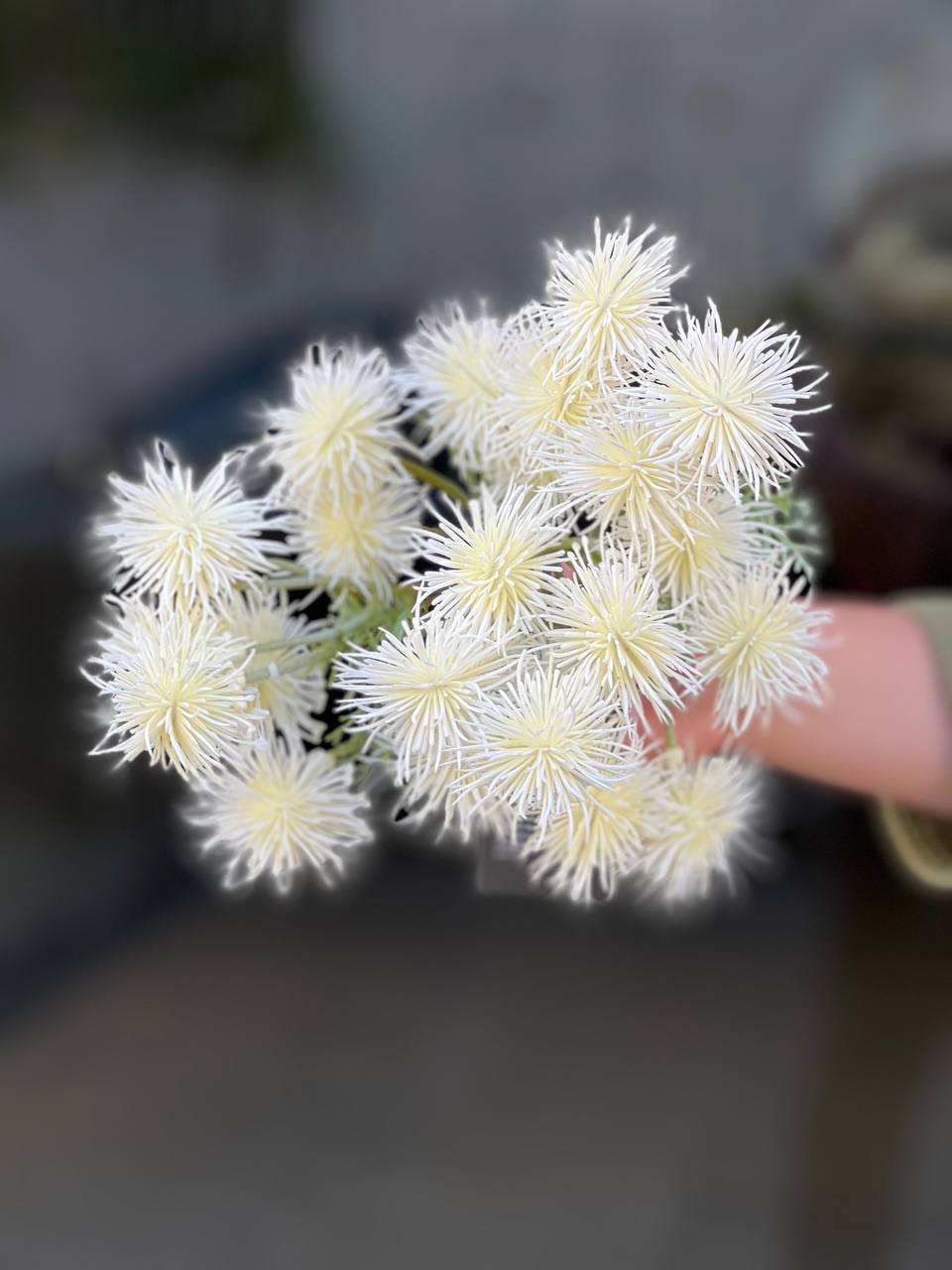 بوته قاصدک 3 شاخه مصنوعی وارداتی سه بازو
