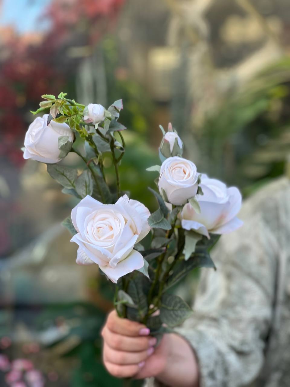 شاخه رز فرانسوی ۶گل وارداتی رنگ نباتی