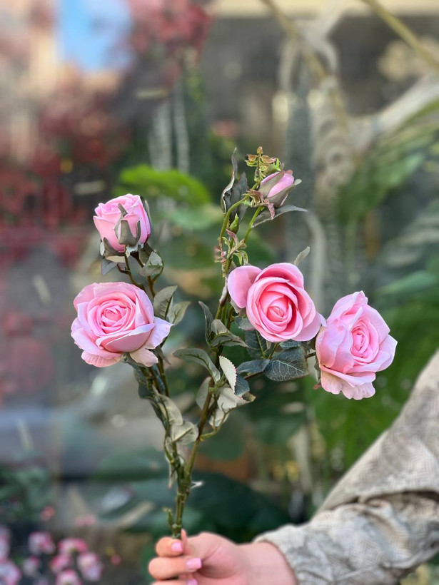 شاخه رز فرانسوی ۶گل وارداتی رنگ صورتی