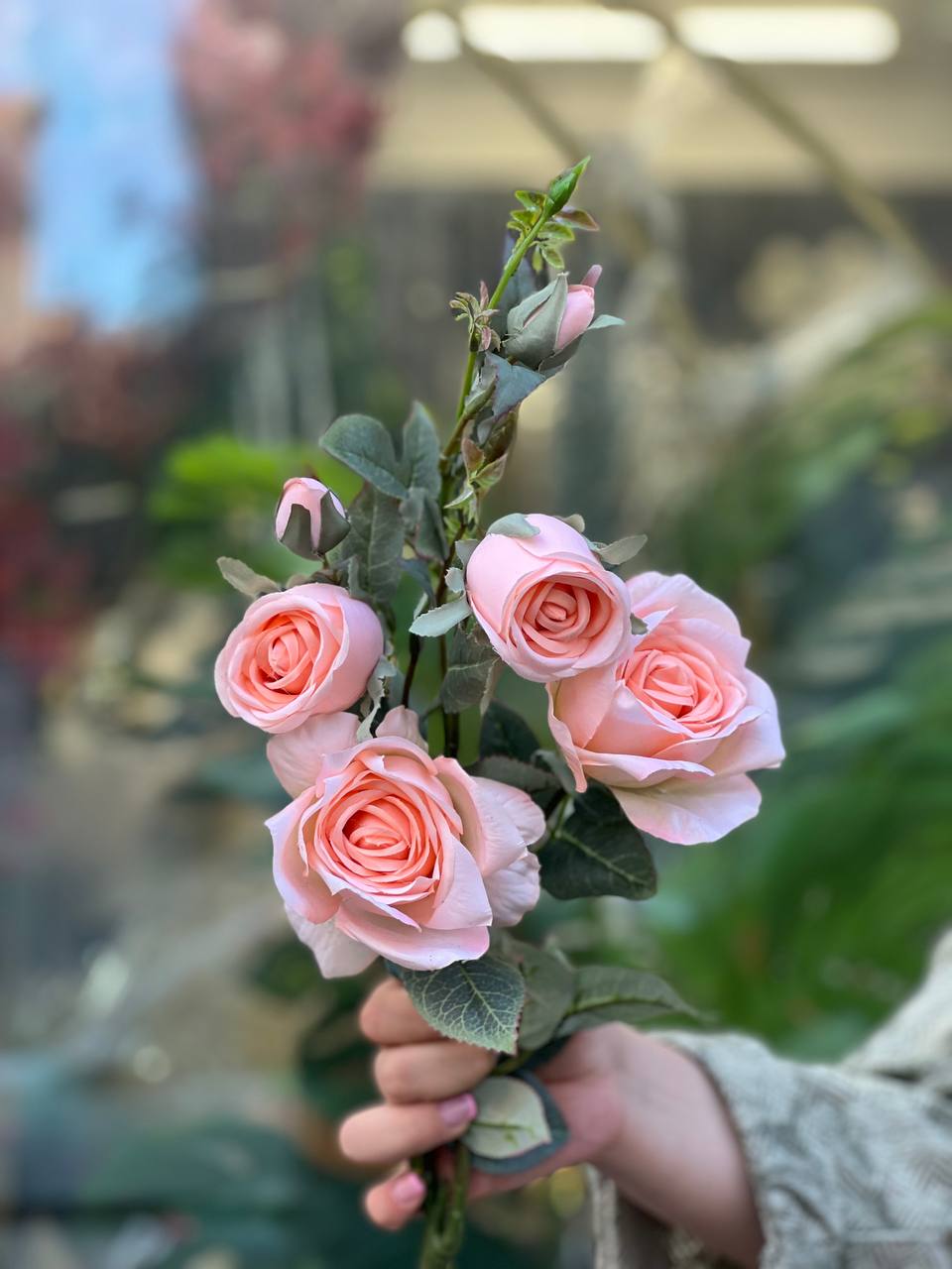 شاخه رز فرانسوی ۶گل وارداتی رنگ گلبهی
