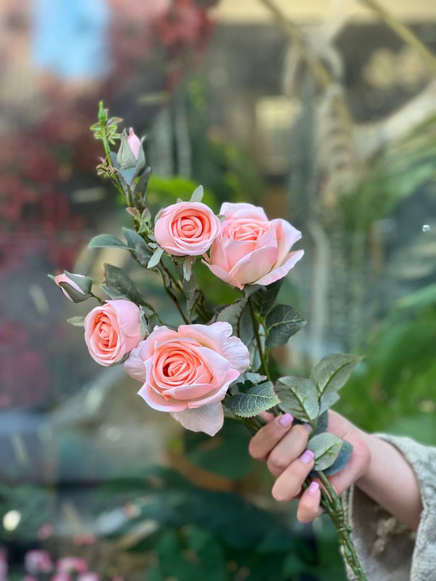 شاخه رز فرانسوی ۶گل وارداتی رنگ گلبهی