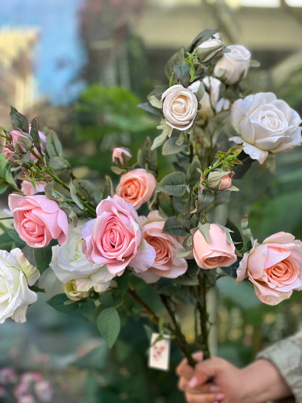 شاخه رز فرانسوی ۶گل وارداتی رنگ گلبهی