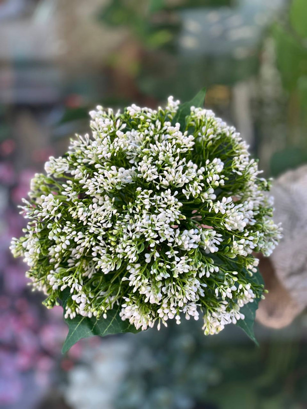 بوته خرج کار مصنوعی وارداتی