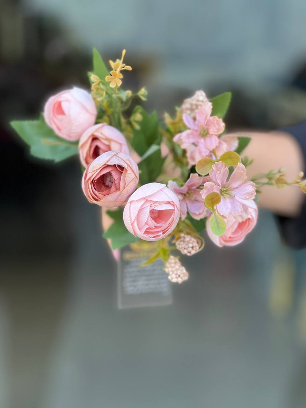 بوته پیونی وارداتی مدل سوخته صورتی