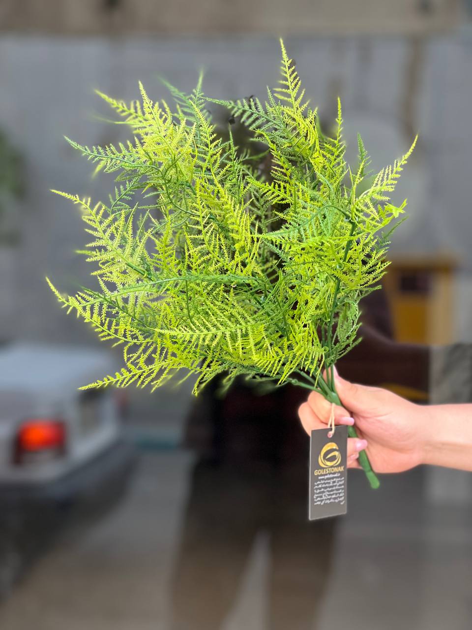 بوته سرخس مصنوعی وارداتی لبه سبز کمرنگ ۷ بازو