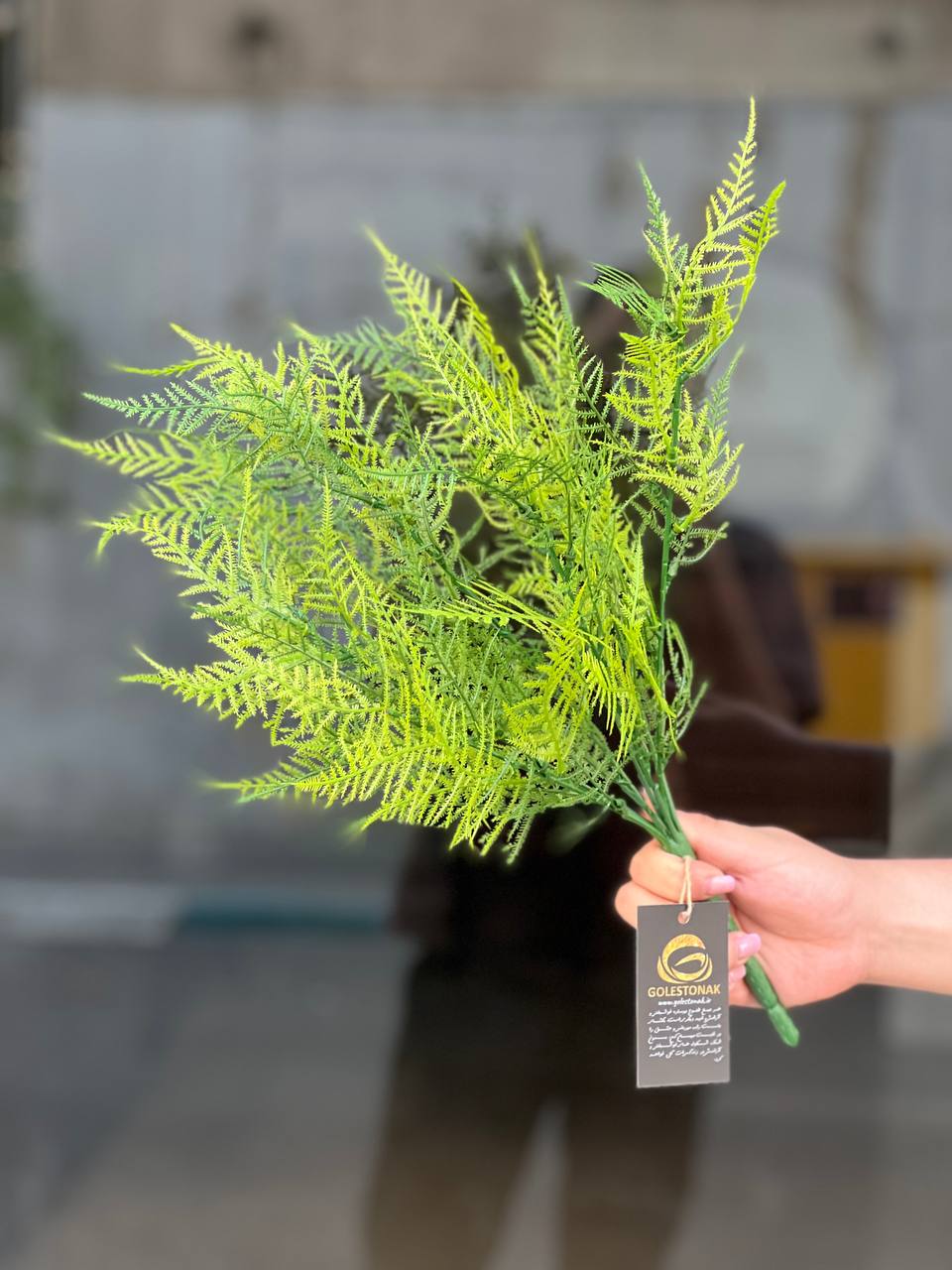 بوته سرخس مصنوعی وارداتی لبه سبز کمرنگ ۷ بازو