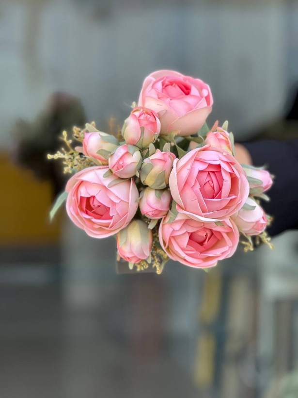 بوته پیونی غنچه دار وارداتی رنگ صورتی ۹گل