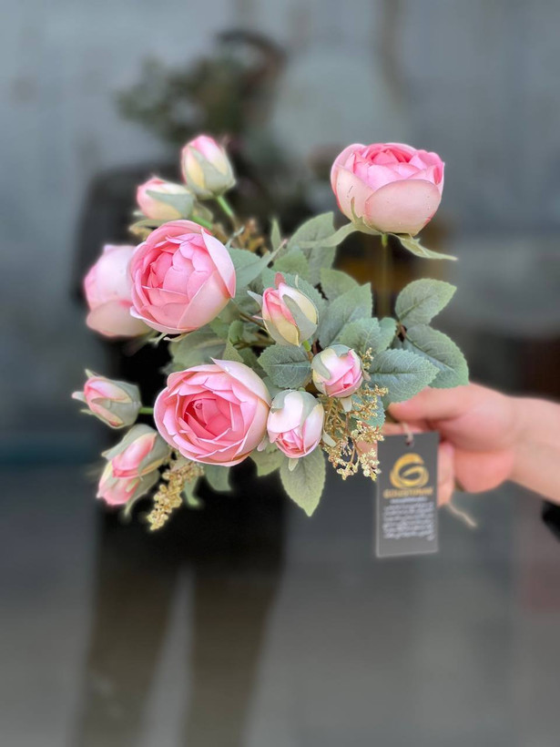 بوته پیونی غنچه دار وارداتی رنگ صورتی ۹گل