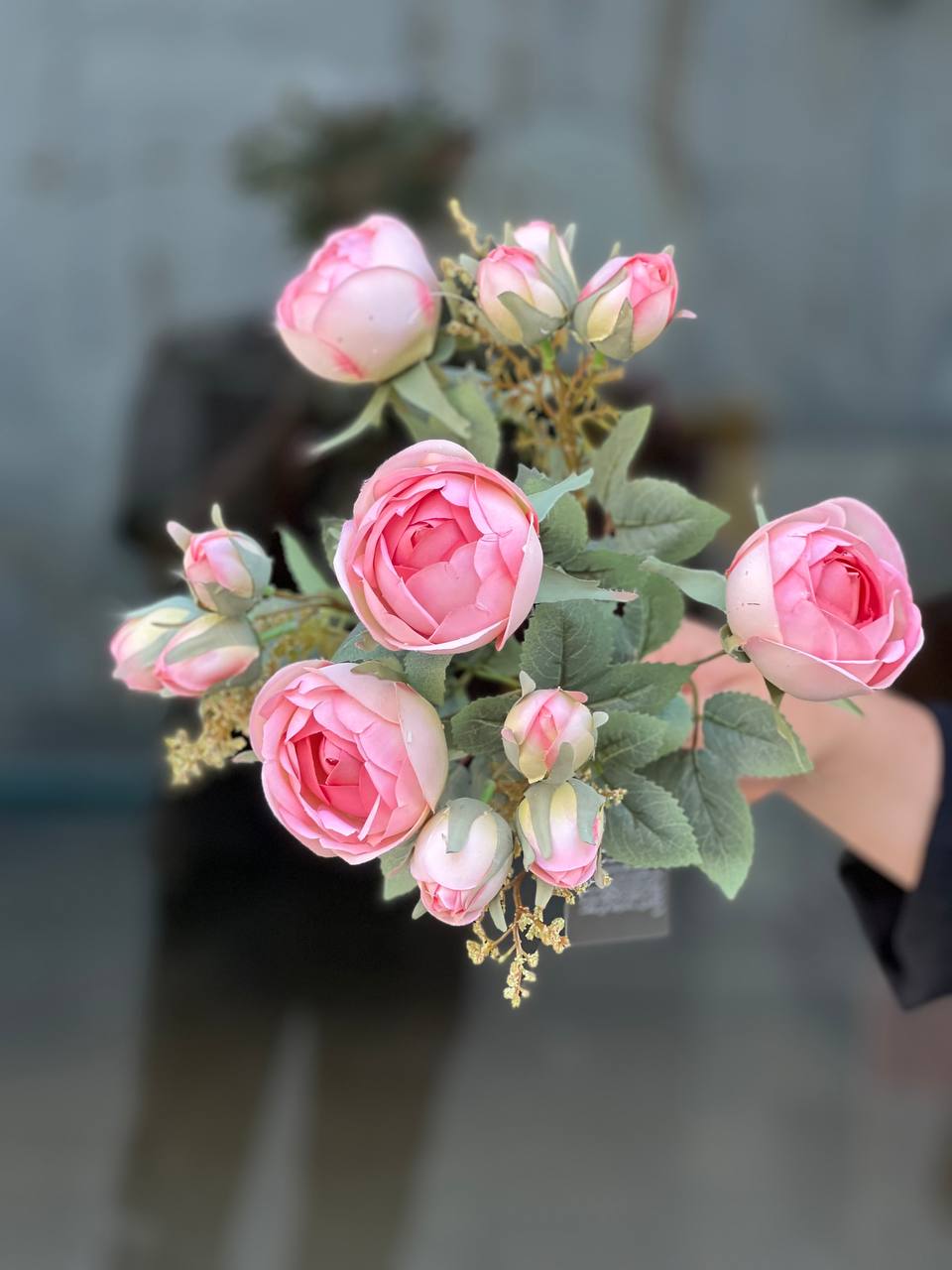 بوته پیونی غنچه دار وارداتی رنگ صورتی ۹گل