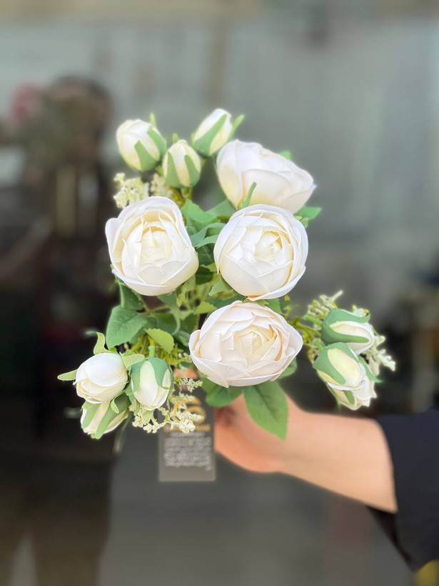 بوته پیونی غنچه دار وارداتی رنگ سفید ۹گل