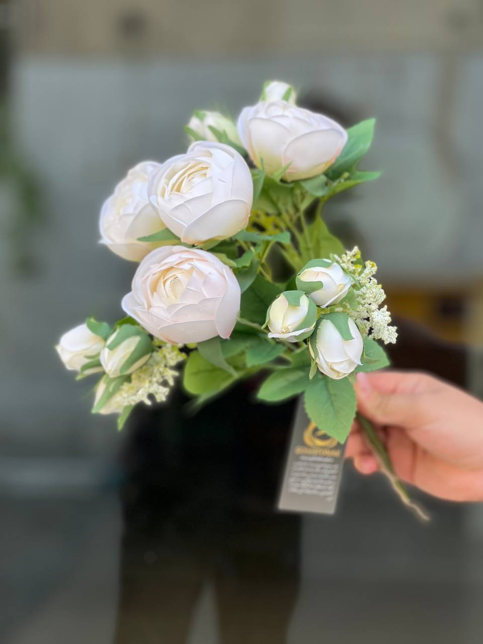 بوته پیونی غنچه دار وارداتی رنگ سفید ۹گل