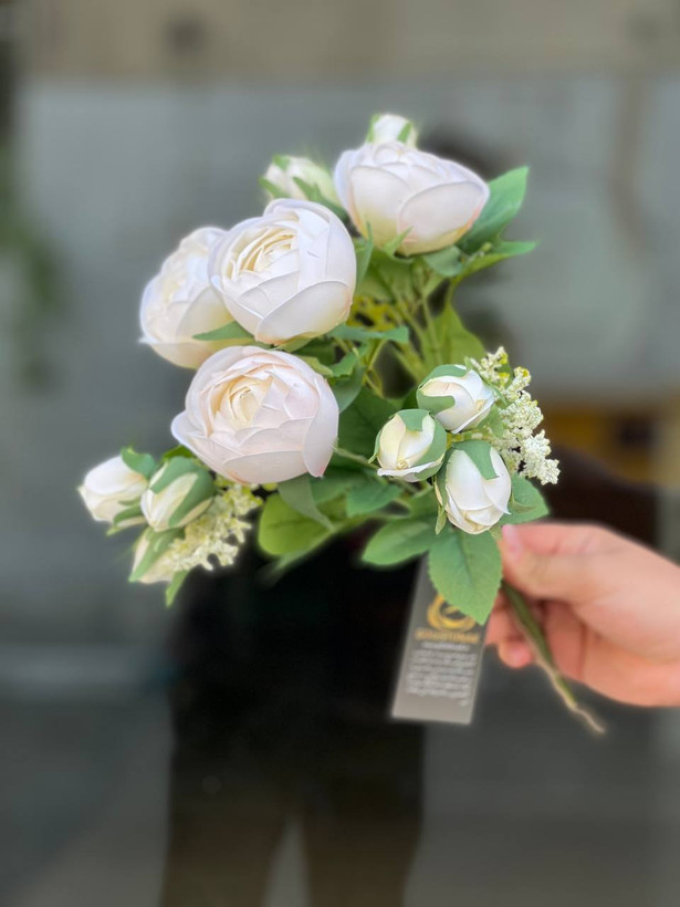 بوته پیونی غنچه دار وارداتی رنگ سفید ۹گل