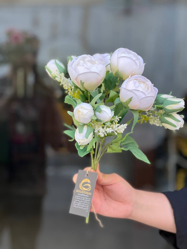 بوته پیونی غنچه دار وارداتی رنگ سفید ۹گل