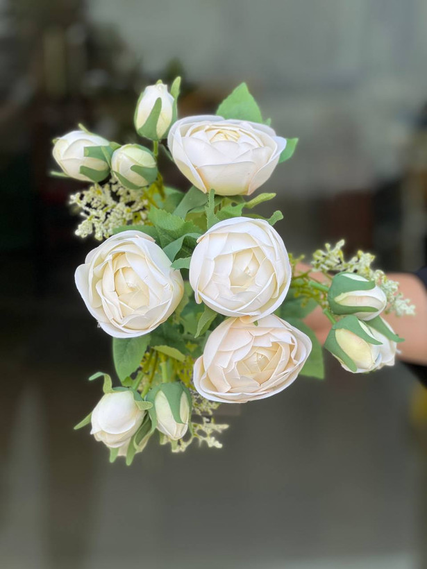 بوته پیونی غنچه دار وارداتی رنگ سفید ۹گل