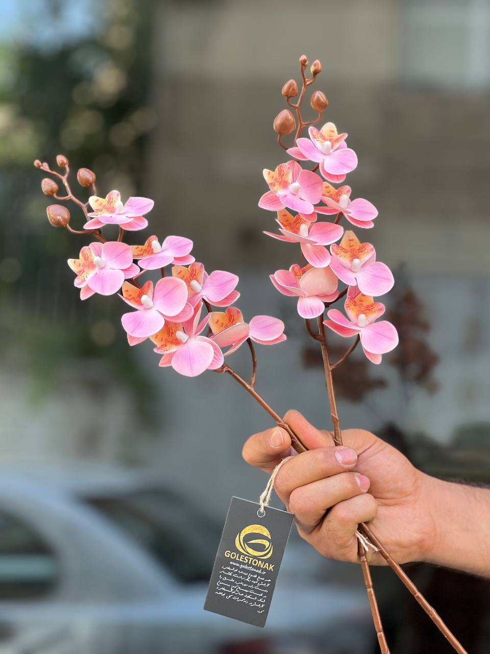 ارکیده مینیاتوری مصنوعی وارداتی رنگ گلبهی