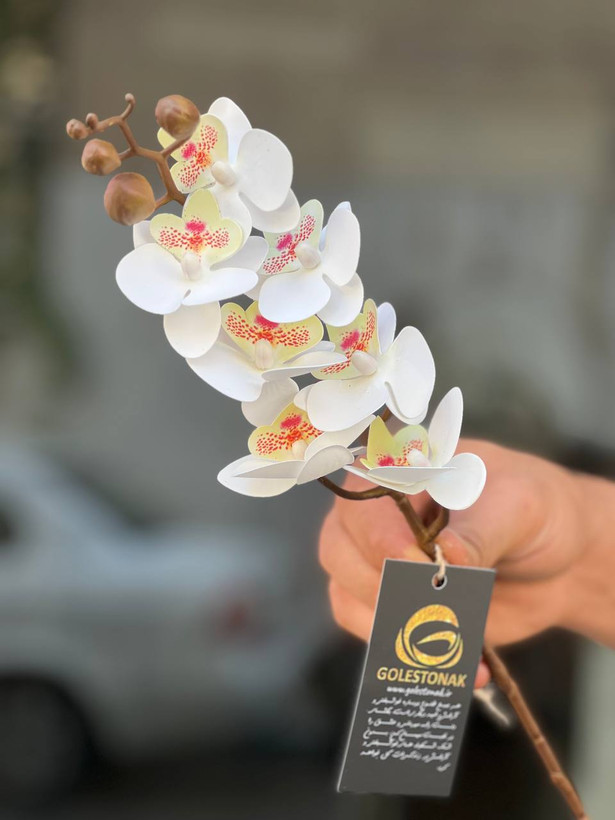 ارکیده مینیاتوری مصنوعی وارداتی رنگ سفید