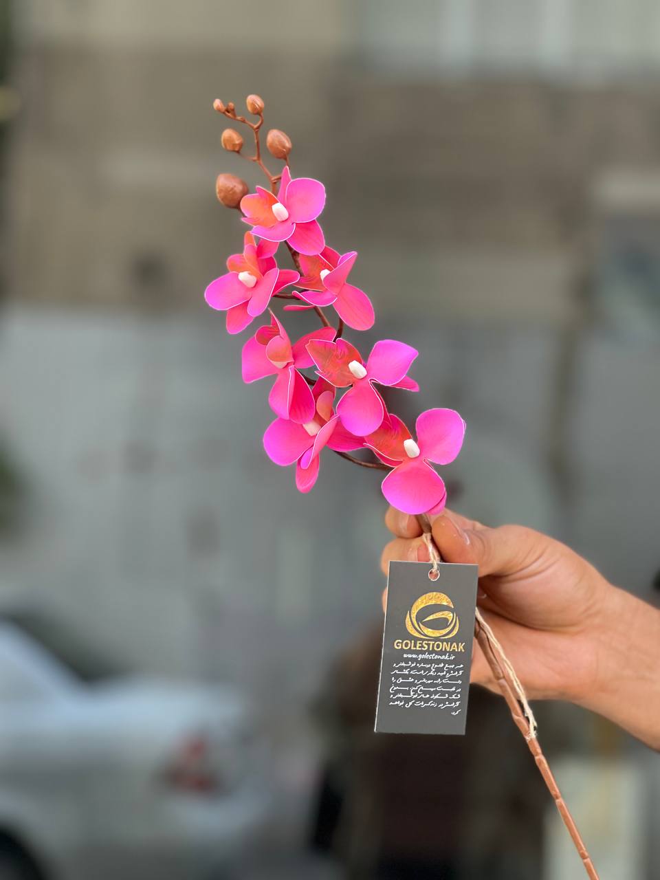 ارکیده مینیاتوری مصنوعی وارداتی رنگ سرخ آبی