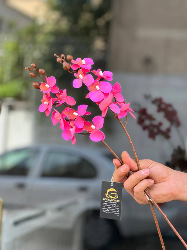 ارکیده مینیاتوری مصنوعی وارداتی رنگ سرخ آبی