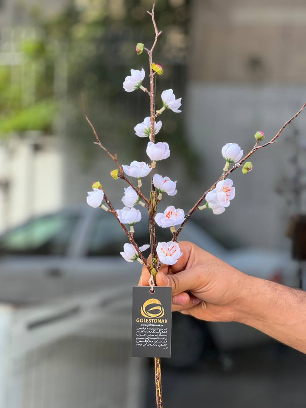 شاخه شکوفه مینیاتوری وارداتی 60سانتی رنگ سفید