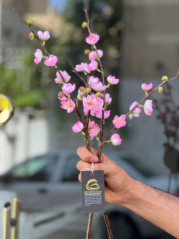 شاخه شکوفه مینیاتوری وارداتی 60سانتی رنگ صورتی