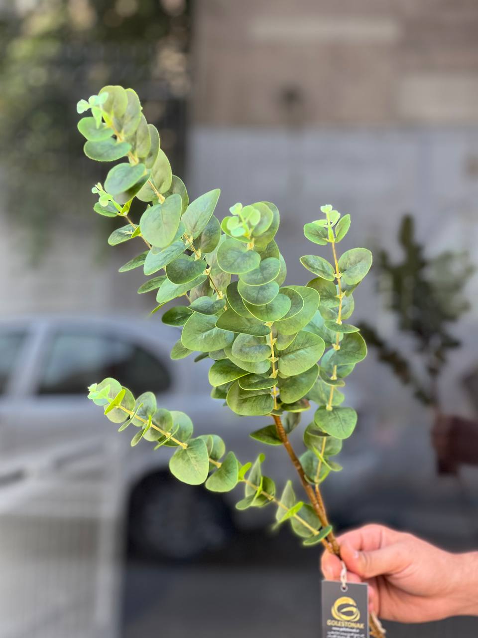 برگ اکالیپتوس مصنوعی رنگ سبز 5بازو