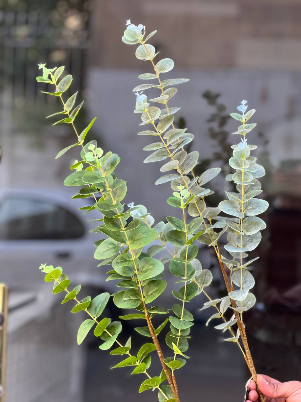 برگ اکالیپتوس مصنوعی رنگ سبز 5بازو