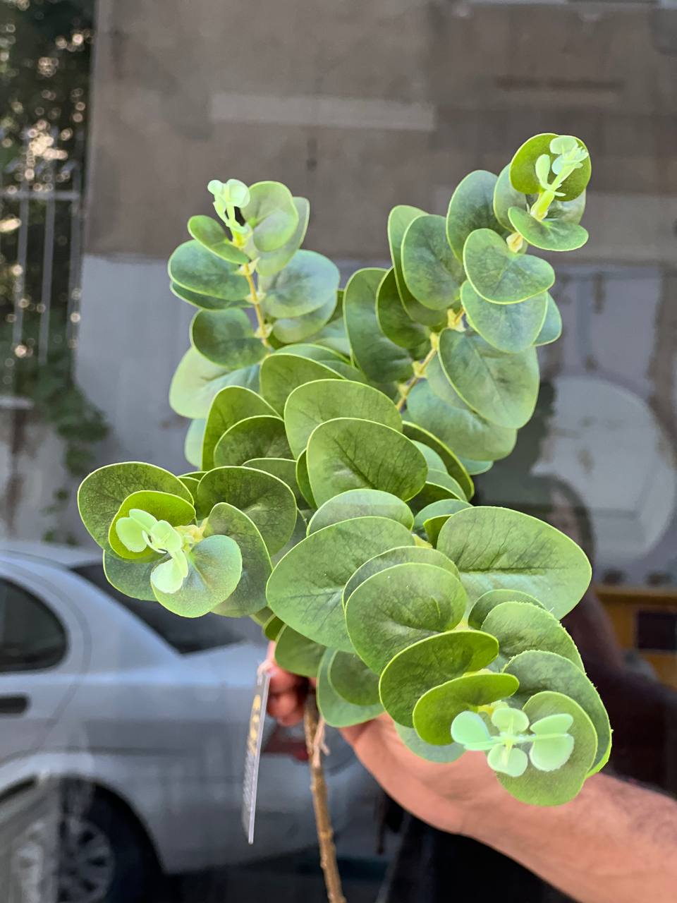 برگ اکالیپتوس مصنوعی رنگ سبز 5بازو