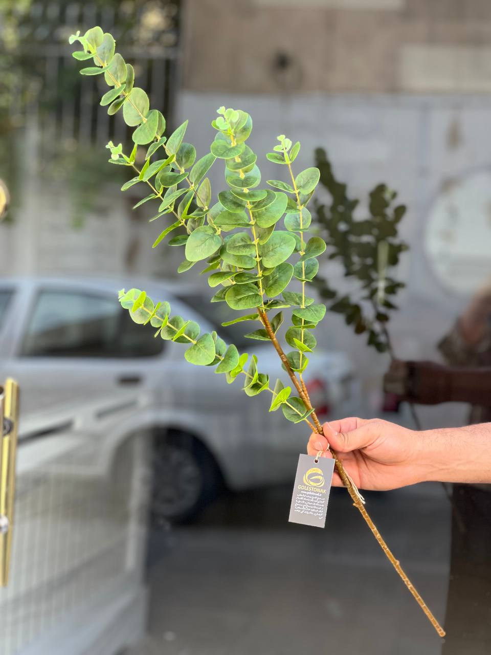 برگ اکالیپتوس مصنوعی رنگ سبز 5بازو