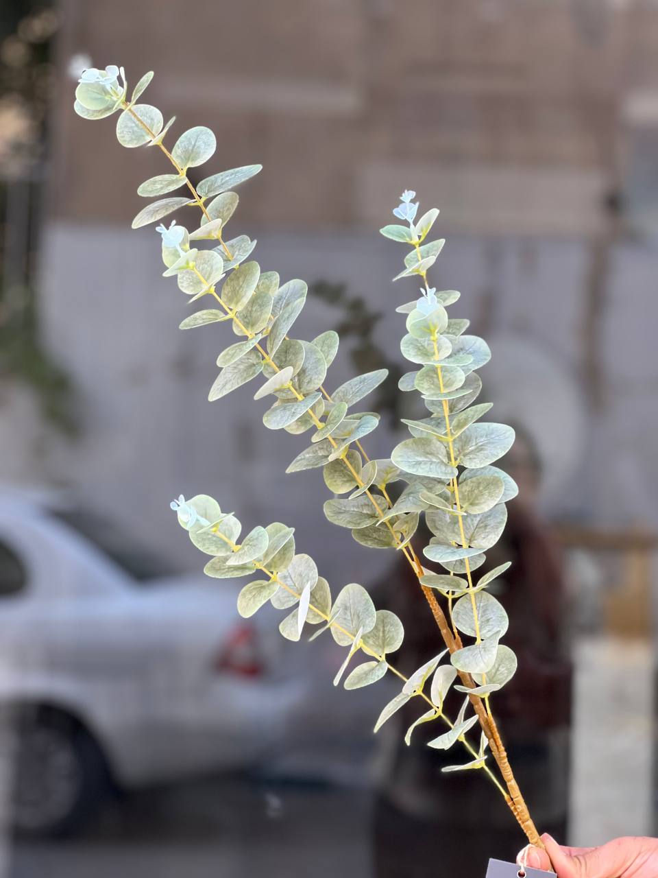 برگ اکالیپتوس مصنوعی رنگ یخی 5بازو