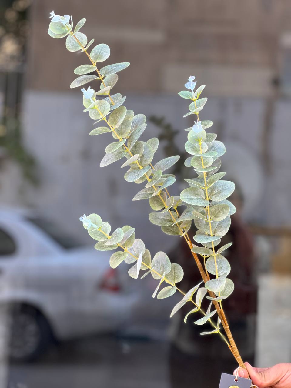 برگ اکالیپتوس مصنوعی رنگ یخی 5بازو