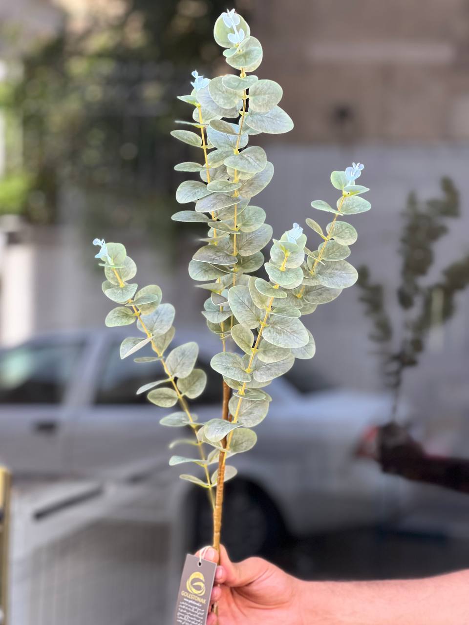 برگ اکالیپتوس مصنوعی رنگ یخی 5بازو