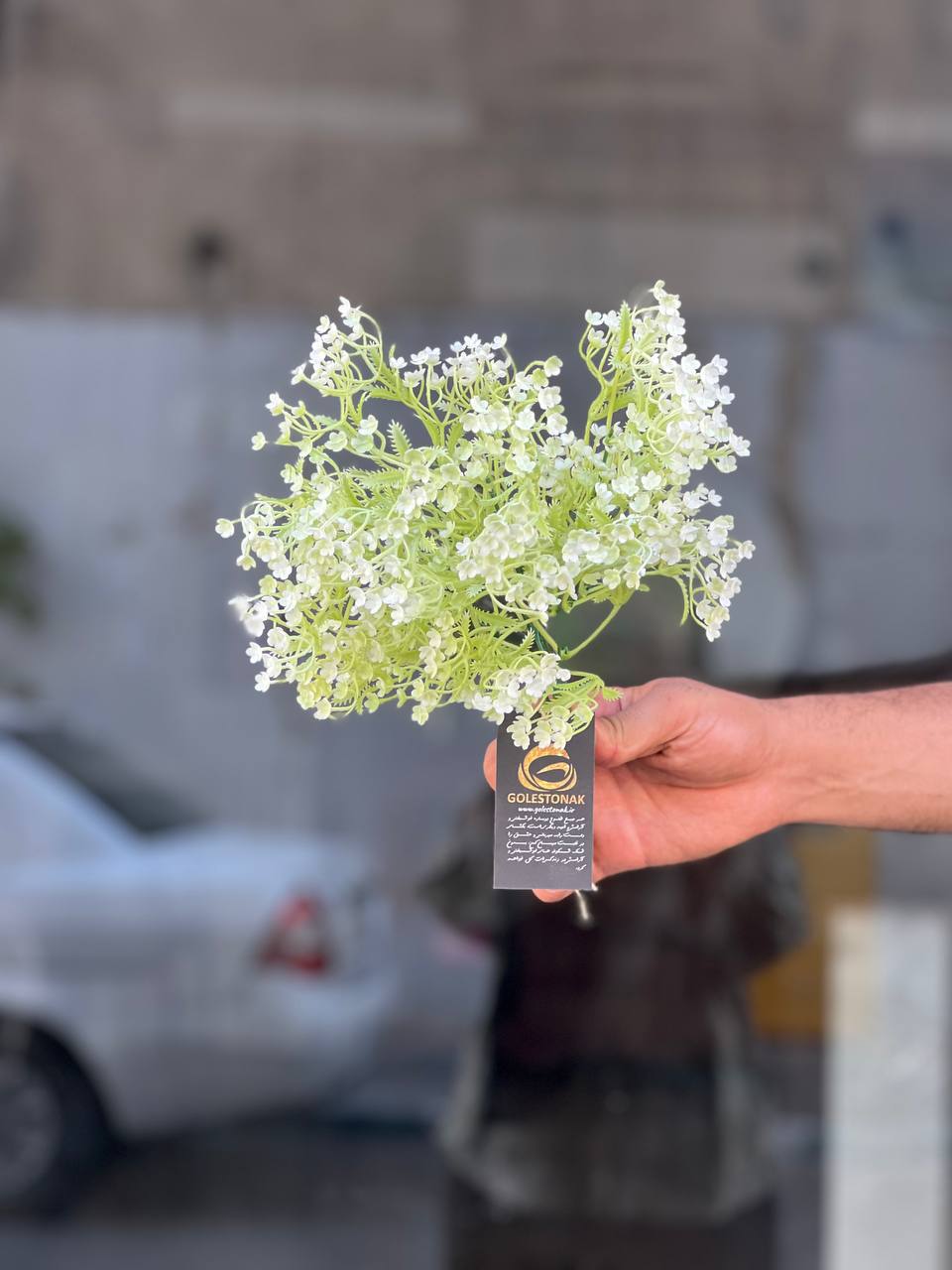 بوته گلدار مینیاتوری وارداتی(خرج کار) 5بازو