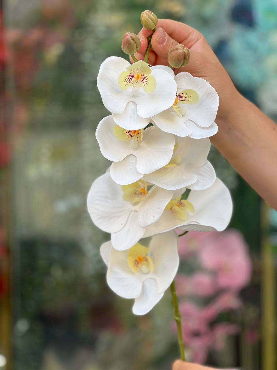ارکیده لمسی سفید ۷گل