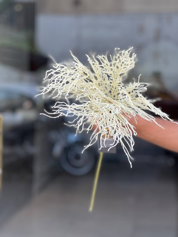بوته شاخ گوزنی مصنوعی وارداتی رنگ سفید