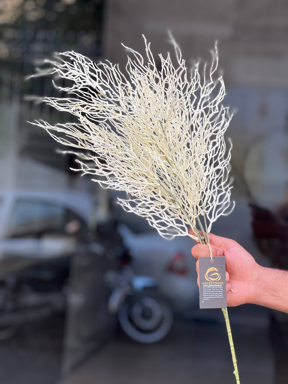 بوته شاخ گوزنی مصنوعی وارداتی رنگ سفید