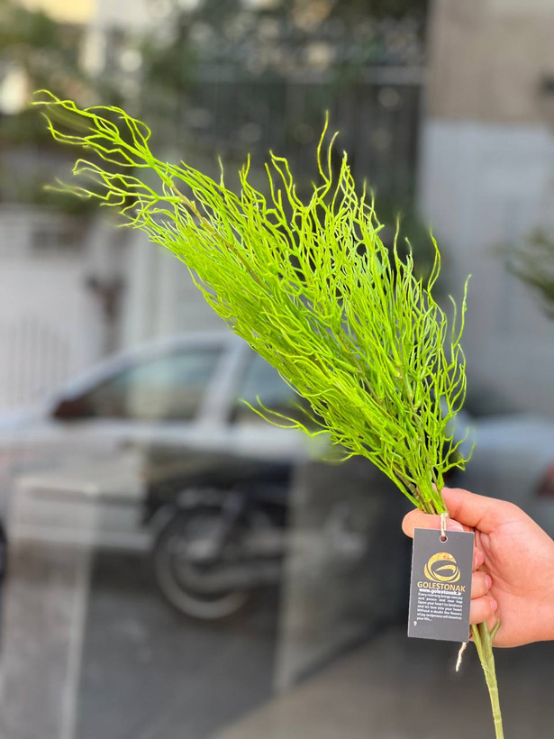 بوته شاخ گوزنی مصنوعی وارداتی رنگ سبز