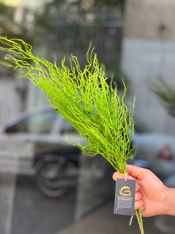 بوته شاخ گوزنی مصنوعی وارداتی رنگ سبز