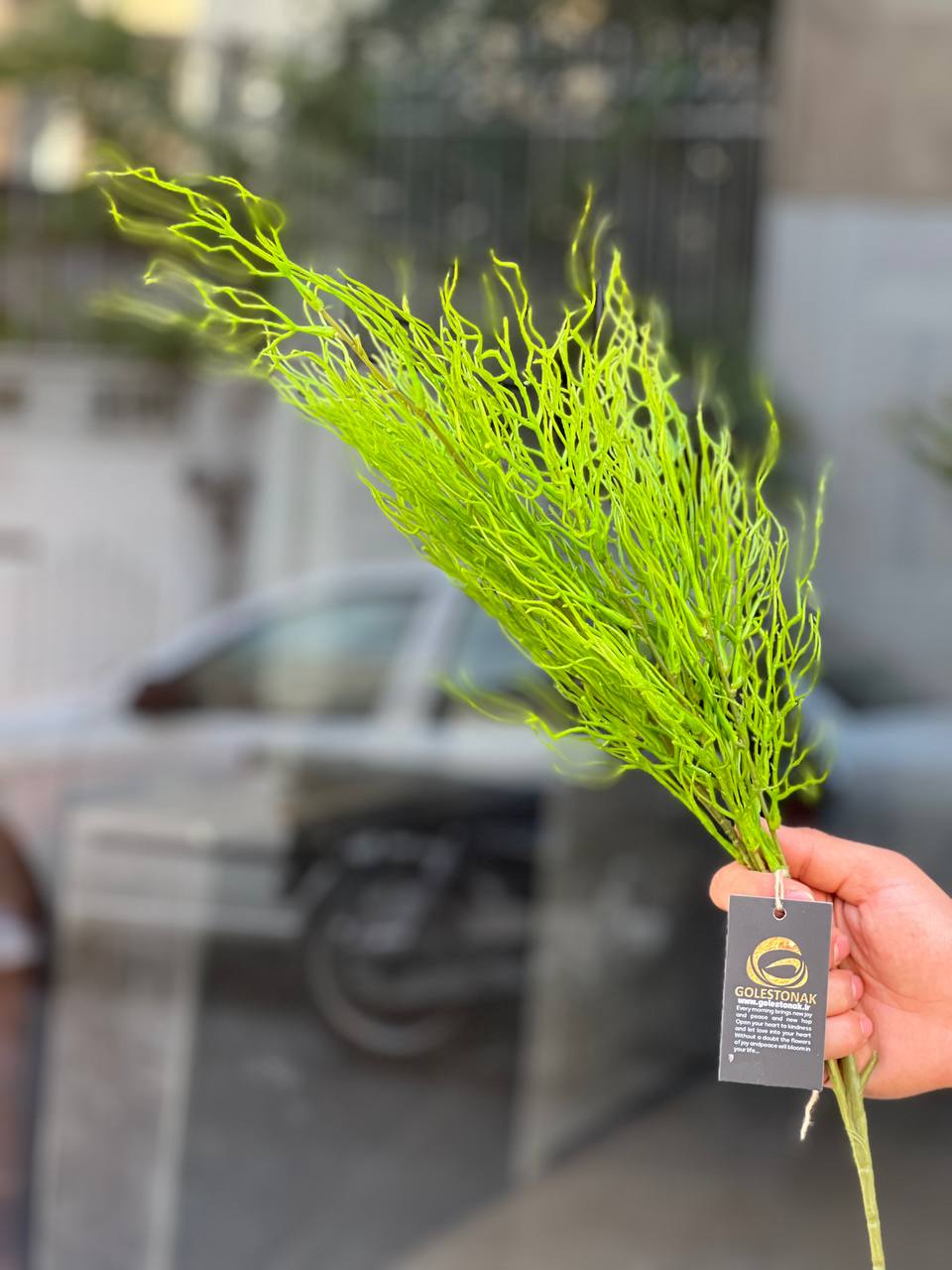 بوته شاخ گوزنی مصنوعی وارداتی رنگ سبز