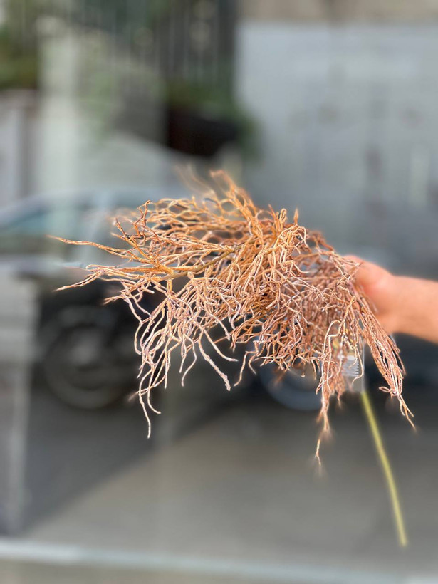 بوته شاخ گوزنی مصنوعی وارداتی رنگ قهوه ای