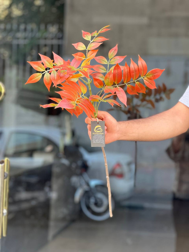 بوته اقاقیا مصنوعی وارداتی ۹بازو ۷۵سانتی