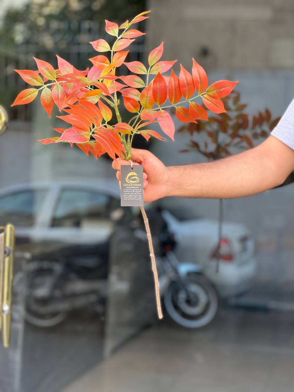 بوته اقاقیا مصنوعی وارداتی ۹بازو ۷۵سانتی